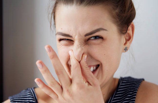 microsoft-removes-the-whiff-of-vista-from-windows-11-insider-preview