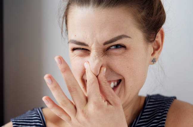 microsoft-removes-the-whiff-of-vista-from-windows-11-insider-preview