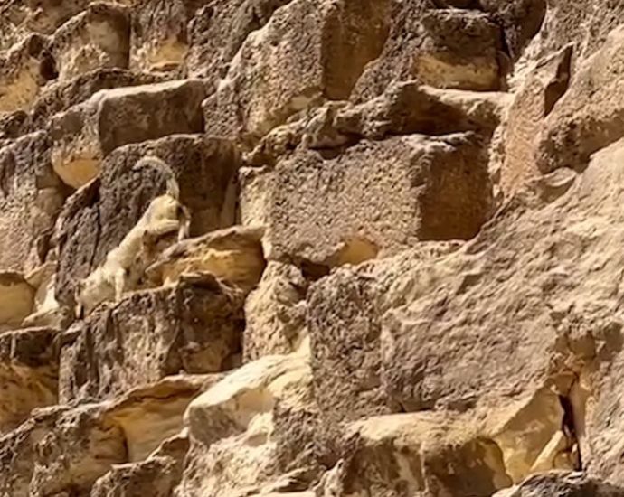 ancient-pyramid-crumbling-into-rubble-leads-to-warnings-of-‘bad-omen’