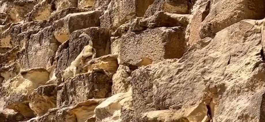 ancient-pyramid-crumbling-into-rubble-leads-to-warnings-of-‘bad-omen’