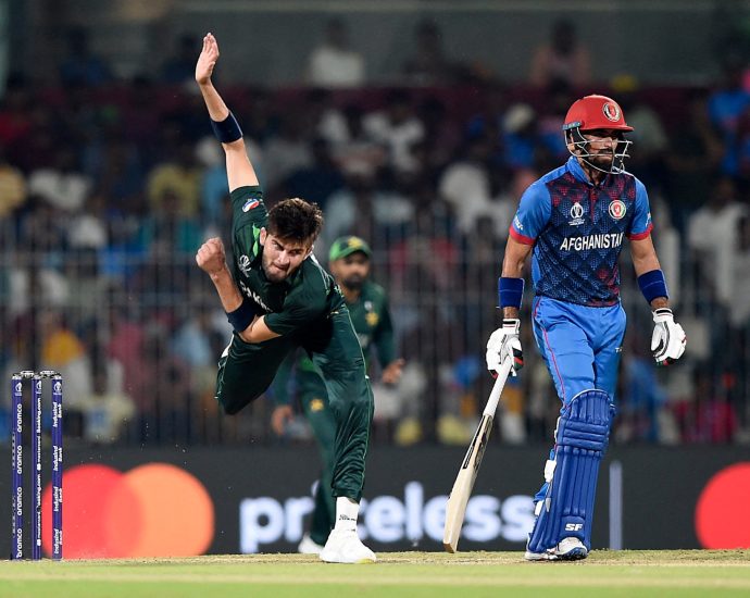 pakistan-and-afghanistan-pen-uae-t20-tri-series-before-asia-cup