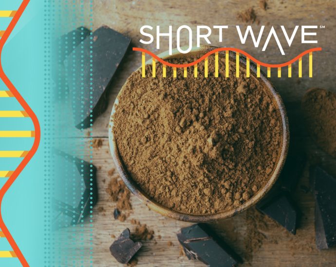why-a-changing-climate-may-mean-less-chocolate-in-the-future