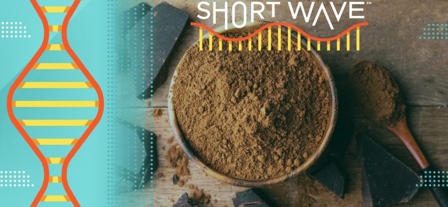 why-a-changing-climate-may-mean-less-chocolate-in-the-future