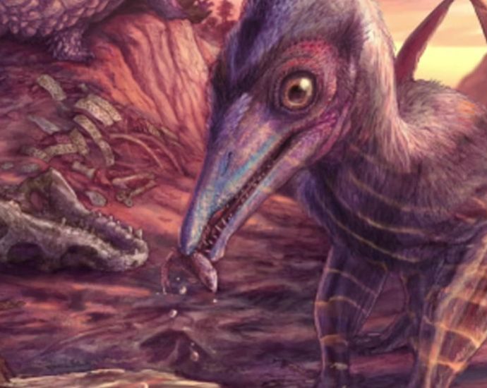scientists-just-discovered-an-unknown-species-hidden-in-the-world’s-longest-cave