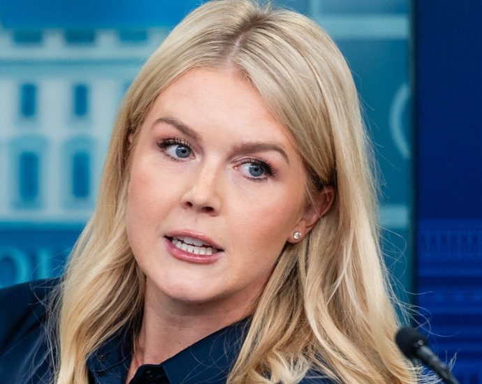 ‘depths-of-cringe’:-critics-slam-karoline-leavitt-over-‘disgraceful’-the-traitor-demand