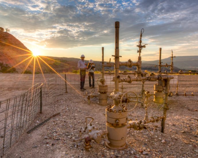 blm-calls-new-oil-and-gas-rules-‘noncontroversial,’-exempts-them-from-public-comment