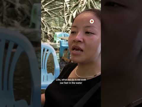 chinese-mahjong-players-take-game-to-river-amid-heatwave