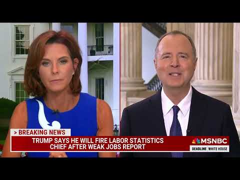 schiff-goes-live-on-msnbc-to-blast-the-traitor-for-terrible-jobs-report
