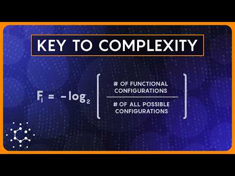 is-information-a-fundamental-force-of-physics?