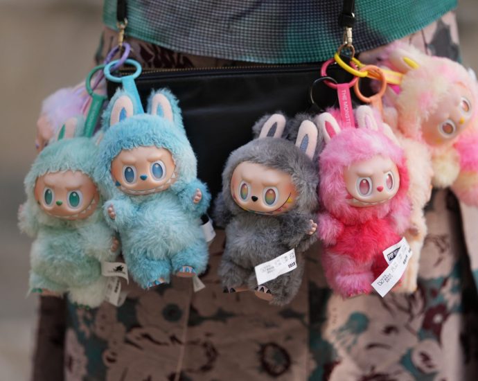 the-most-expensive-labubus-ever-sold-and-why-these-mischievous-toys-are-worth-six-figures