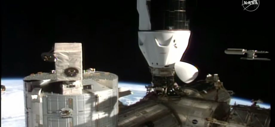 SpaceX’s Crew-11 astronauts arrive at the International Space Station