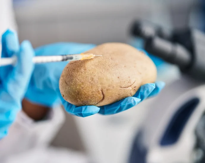 scientists-just-solved-the-9-million-year-mystery-of-where-potatoes-came-from