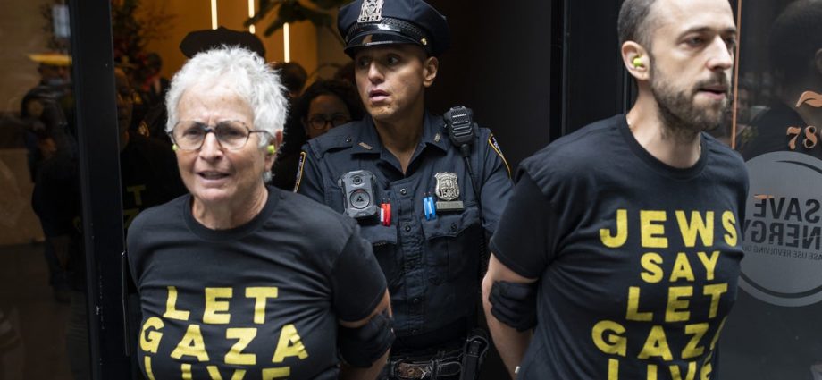 dozens-arrested-protesting-new-york-democrats’-support-of-arming-israel