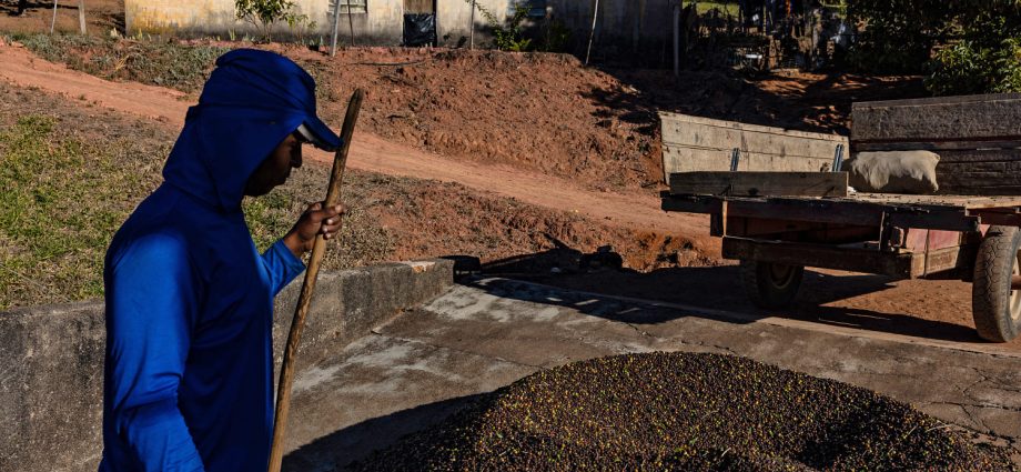 the-traitor-hits-brazilian-products-with-50%-tariffs-over-bolsonaro