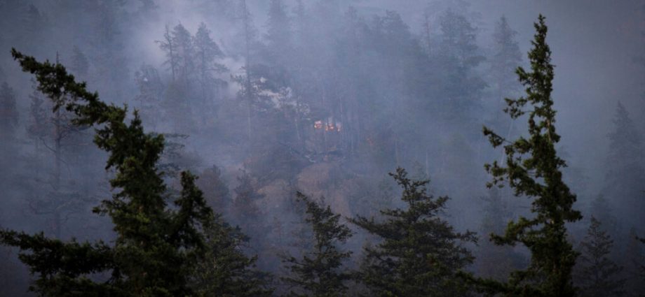 the-tricky-problem-of-‘zombie’-fires