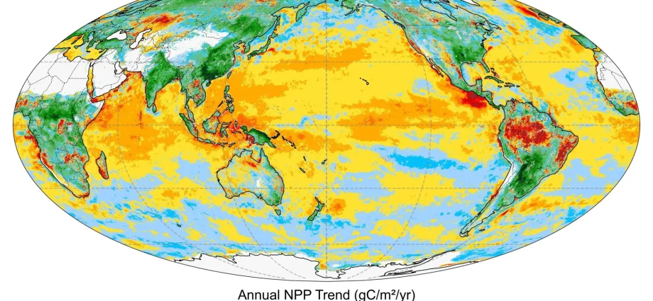 the-hidden-climate-battle-between-forests-and-the-ocean