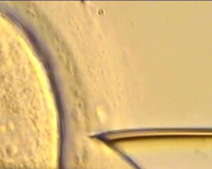 the-world’s-‘oldest’-baby-has-just-been-born-–-and-he’s-already-31-years-old