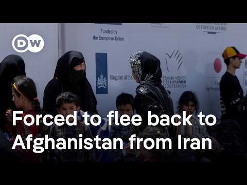 afghans-forced-to-flee-iran:-‘arriving-at-the-border-with-just-the-clothes-on-their-back’-|-dw-new