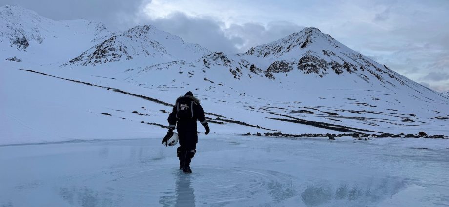 troubling-scenes-from-an-arctic-in-full-tilt-crisis