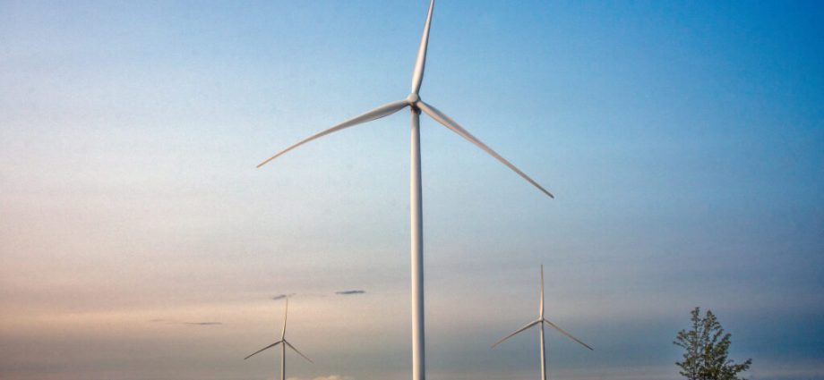 sweden,-an-early-climate-leader,-is-retreating-from-its-environmental-commitments,-part-of-an-eu-trend