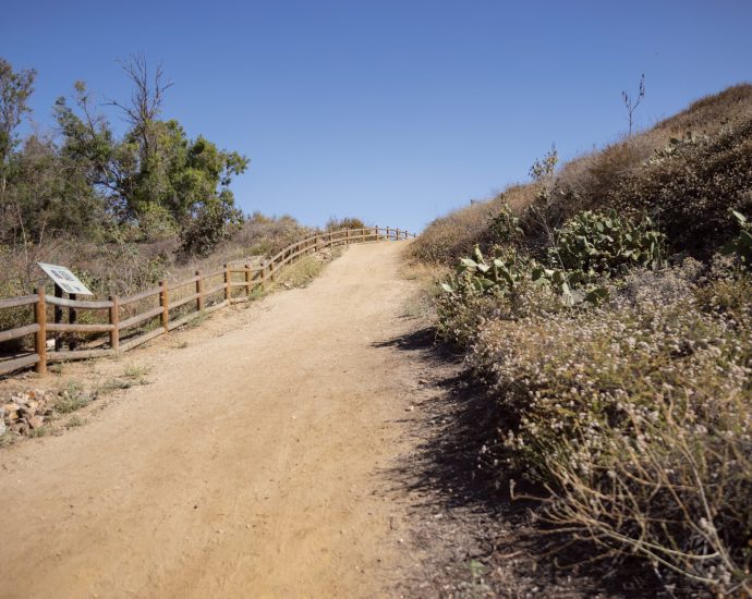 how-one-california-community-is-turning-an-old-oil-field-into-protected-habitat