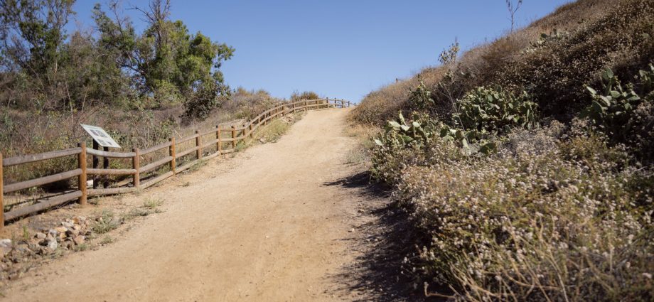 how-one-california-community-is-turning-an-old-oil-field-into-protected-habitat