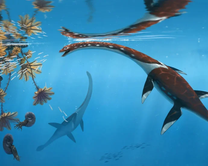 scientists-reexamine-47-year-old-fossil-and-discover-a-new-jurassic-sea-monster