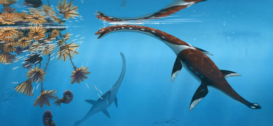scientists-reexamine-47-year-old-fossil-and-discover-a-new-jurassic-sea-monster