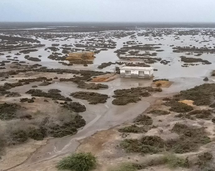 ‘water-has-surrounded-us’:-the-slow-death-of-pakistan’s-indus-delta