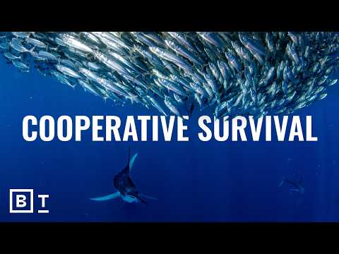 the-ocean-is-evolving,-and-it’s-not-based-on-the-‘survival-of-the-fittest’