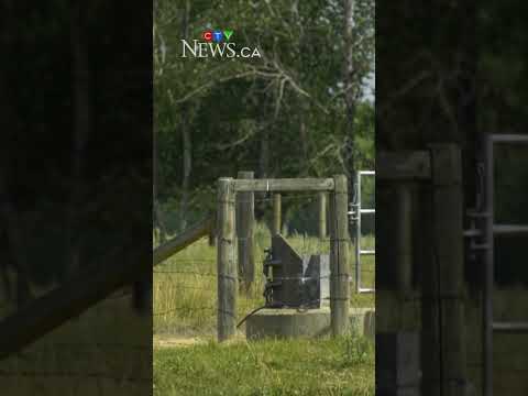 copper-wire-theft-from-cell-phone-tower-leaves-some-albertans-without-service