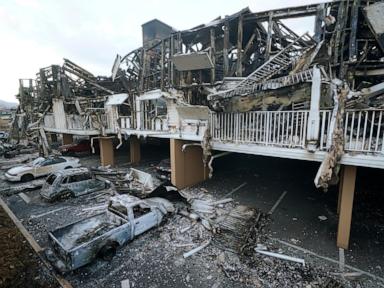 new-studies-tie-unrecognized-deaths-and-health-problems-to-maui-and-la-wildfires