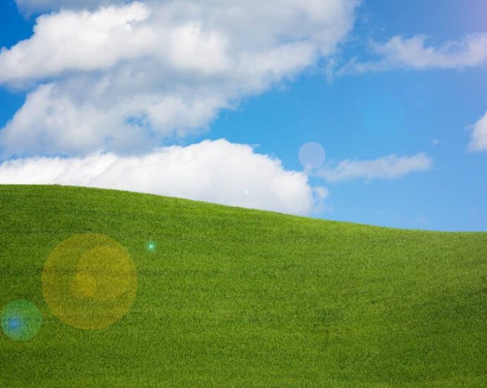 microsoft-hoping-to-knock-users’-socks-off-with-windows-xp-crocs