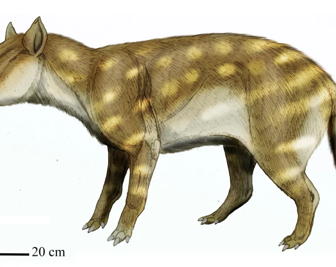 this-prehistoric-predator-survived-global-warming-by-eating-bones