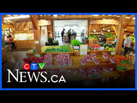 successful-growing-season-for-ontario-producers