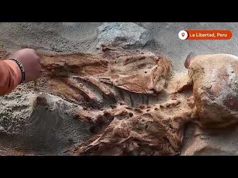 peruvian-temple-offers-clues-into-3,000-year-old-human-sacrifices-|-reuters