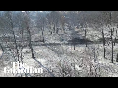 drone-footage-shows-forests-reduced-to-ash-as-wildfire-burns-through-southern-france