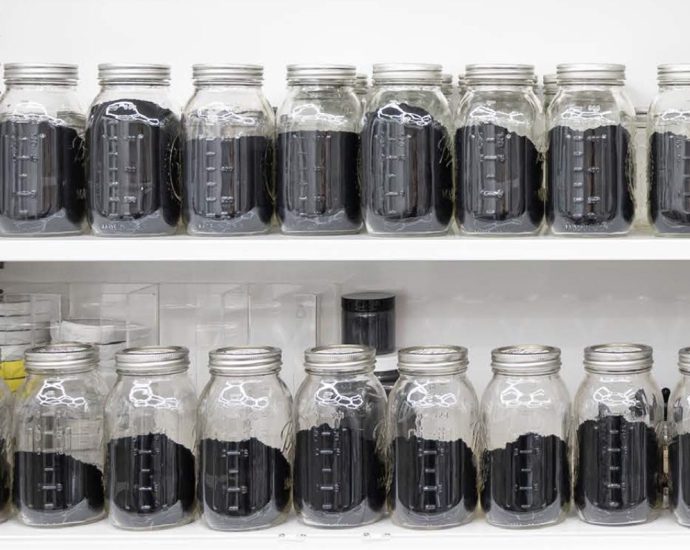 rimere-releases-nanocarbon-and-graphene-materials-for-commercial-applications