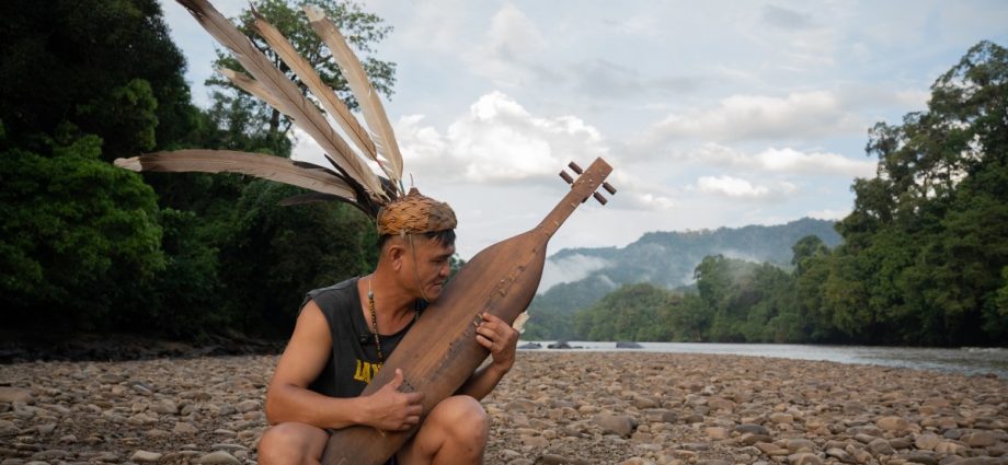 maps-offer-hope-of-saving-a-rainforest-in-malaysian-borneo’s-sarawak