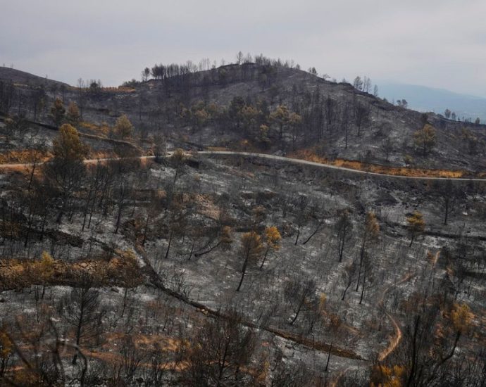 wildfires-rage-across-southern-europe-amid-record-temperatures