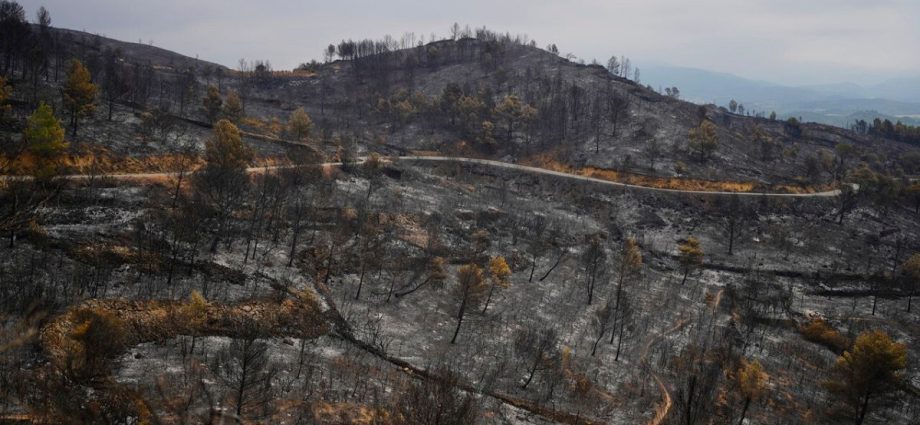 wildfires-rage-across-southern-europe-amid-record-temperatures