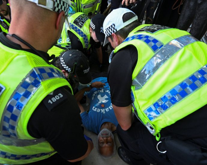 uk-police-arrest-at-least-200-people-at-palestine-action-protest-in-london