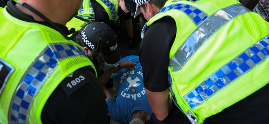 uk-police-arrest-at-least-200-people-at-palestine-action-protest-in-london