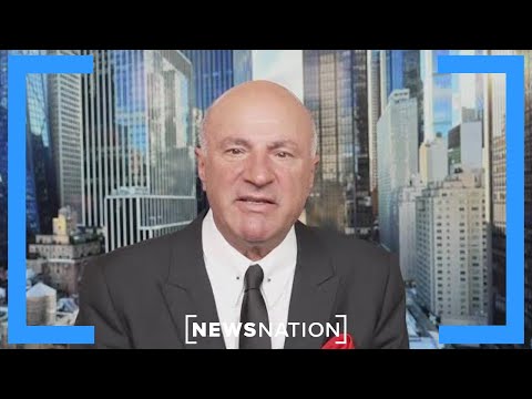 advice-from-‘mr.-wonderful’:-embrace-ai,-‘don’t-buy-crap-you-don’t-need’-|-newsnation-prime