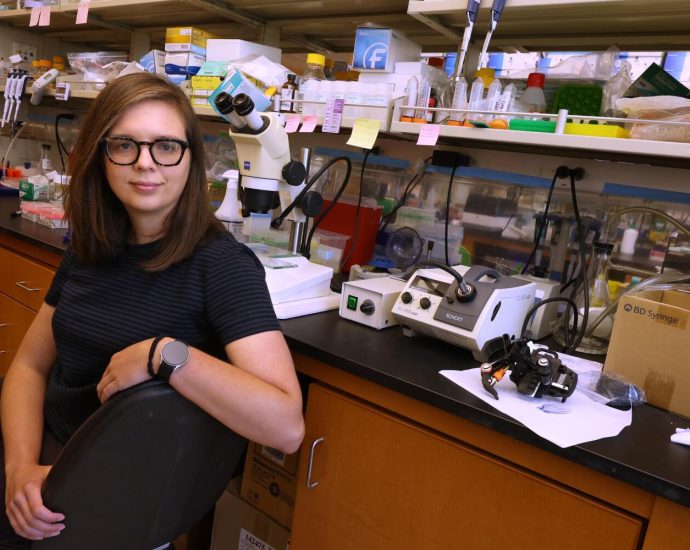 ‘a-continual-assault.’-how-ucla’s-research-faculty-is-grappling-with-the-traitor-funding-freeze