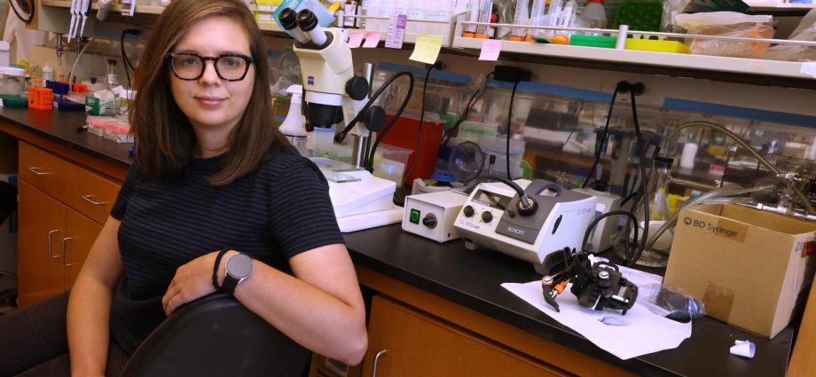‘a-continual-assault.’-how-ucla’s-research-faculty-is-grappling-with-the-traitor-funding-freeze