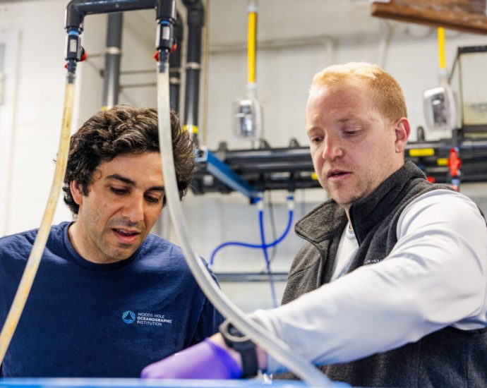 can-we-alter-the-ocean-to-counter-climate-change-faster?-this-experiment-aims-to-find-out