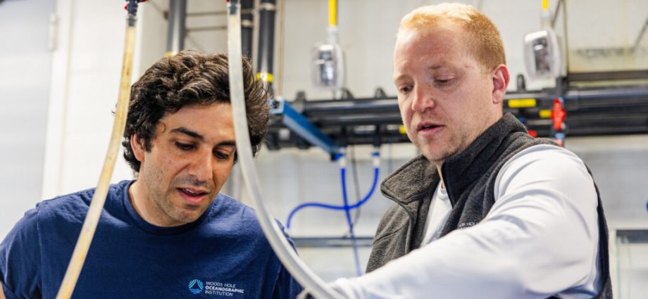 can-we-alter-the-ocean-to-counter-climate-change-faster?-this-experiment-aims-to-find-out