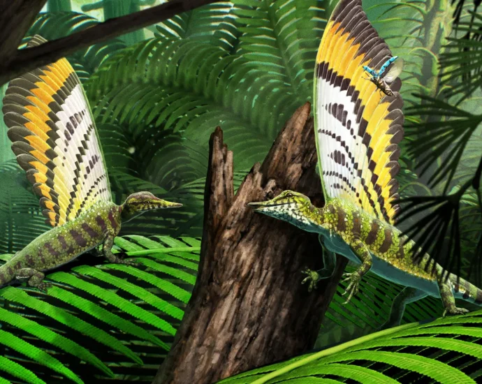 stunning-“wonder-reptile”-discovery-rewrites-the-origins-of-feathers