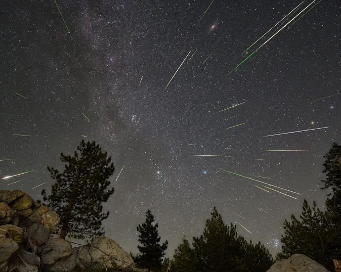 everything-you-need-to-know-for-the-2025-perseid-meteor-shower